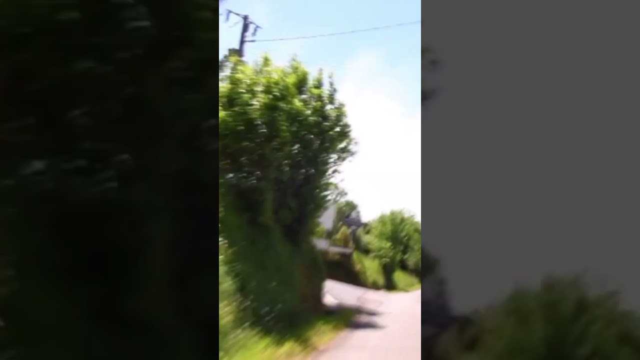 Pyrenees Life: The Countryside