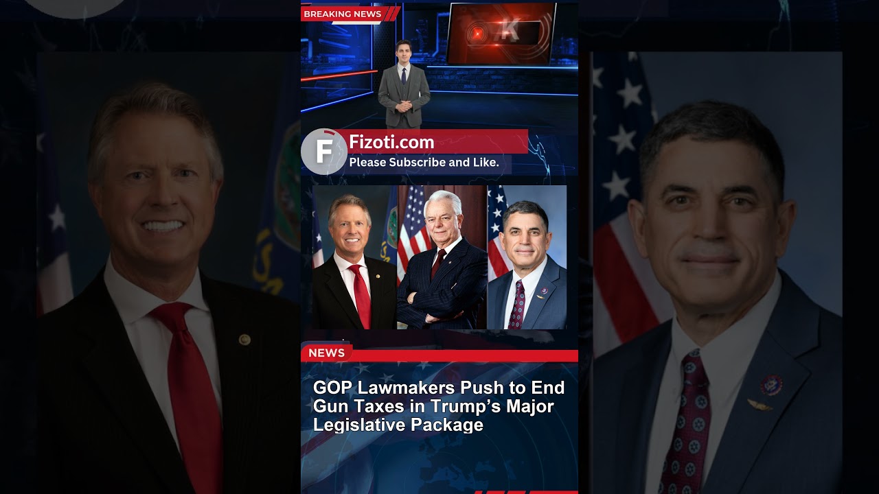 Republicans Seek Gun Tax Repeal in Trump’s Bill