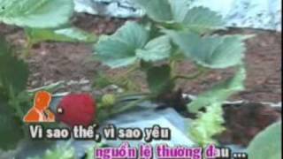 nu chua ran va pho ma cui