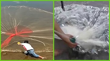Cast Netting Fishing | Most Bait Fish Ever Caught! - Compilation
