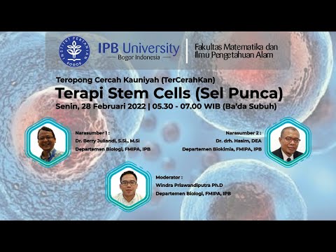 Tercerahkan : Stem Cells (Sel Punca)