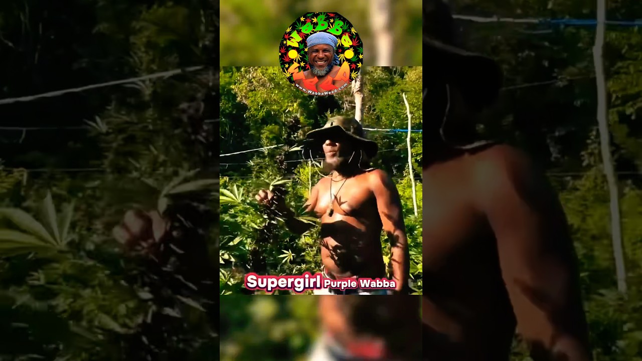 Checking Out Purple Wabba with 