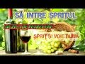 MUZICA DE PETRECERE - SA INTRE SPRITUL
