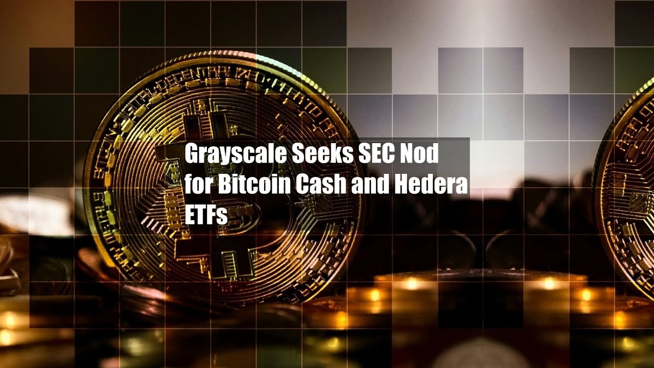 Grayscale Seeks SEC Nod for Bitcoin Cash and Hedera ETFs - YouTube