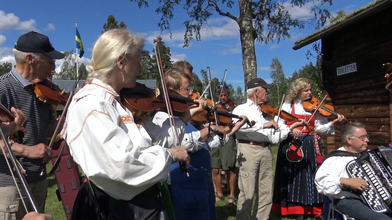 Delsbostämman 2016 Buskspel