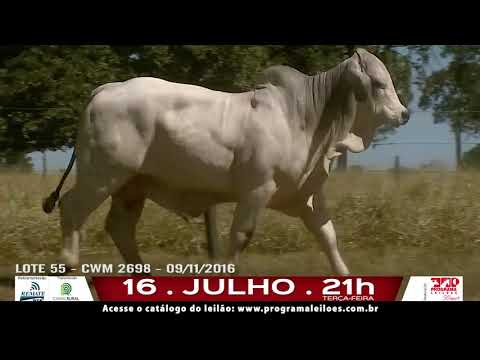 LOTE 055