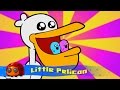 Little Pelican : Silly Song : JellyBug