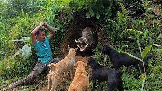 I led the pack of dogs into the forest to search for traces of Tran Cong, De life vn I led the pack of dogs into the forest to search for traces of Tran Cong, De life vn