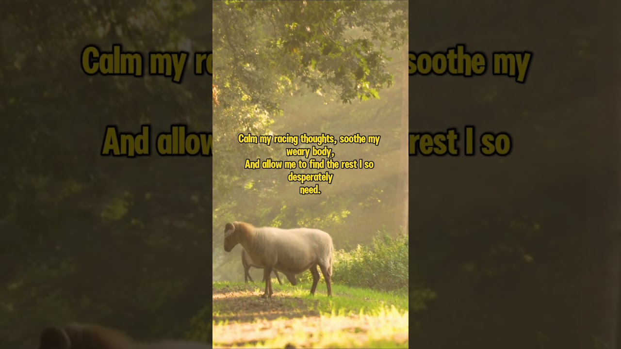 Powerful Nighttime Prayer to Ease Insomnia and Get Deep, Restful Sleep 