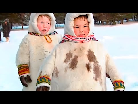 В мгновении застывший «БЕГУЩИЙ СОБОЛЬ. Часть 3 - СВЯЩЕННЫЕ ДЕРЕВЬЯ | Полярные истории