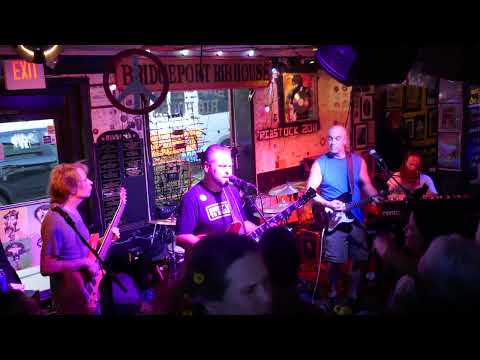 Video of Cats on the Bus - YouTube thumbnail