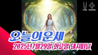 오늘의운세 2025년7월29일 화요일 돼지띠날 오늘의운세 #오늘의운세 #운세