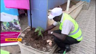 Details Faith-Based Environmental Mobilization: Radio Maria Launches Nationwide Tree-Planting Campaign Guide