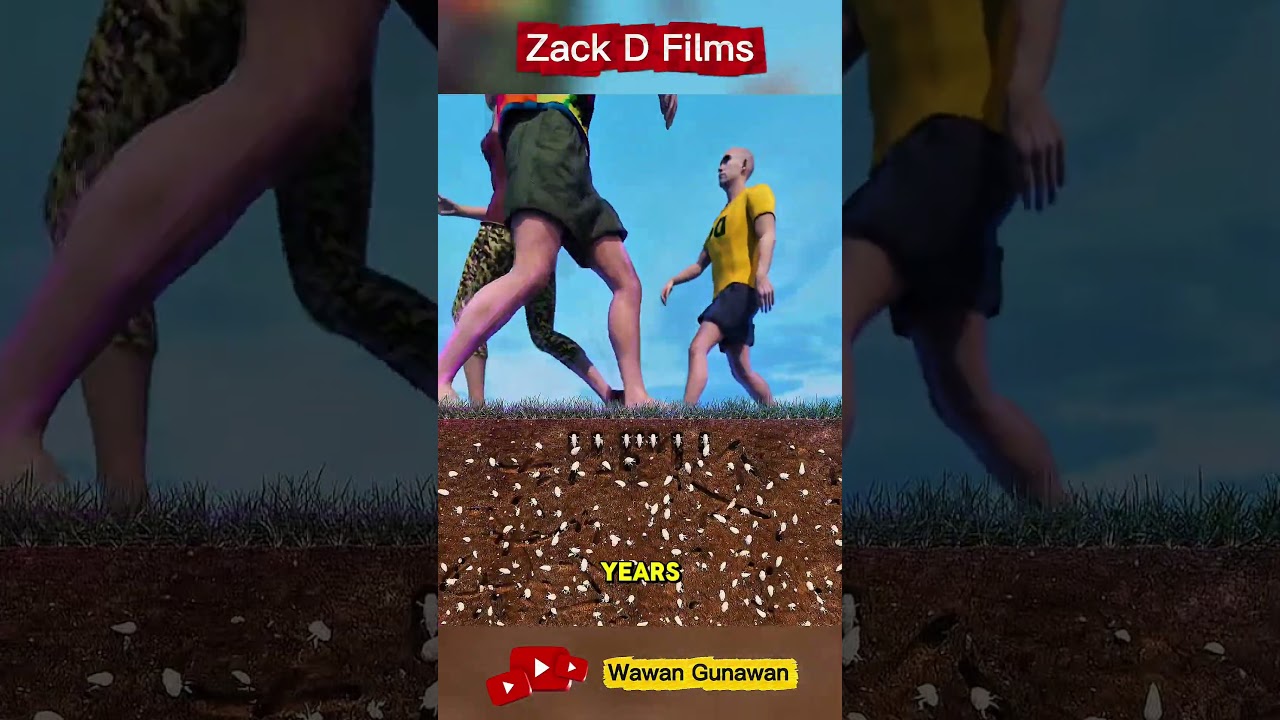 🐛 17-летняя тайная жизнь цикад