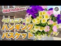 【簡単でおしゃれ】ペチュニアのハンギングバスケット　#29