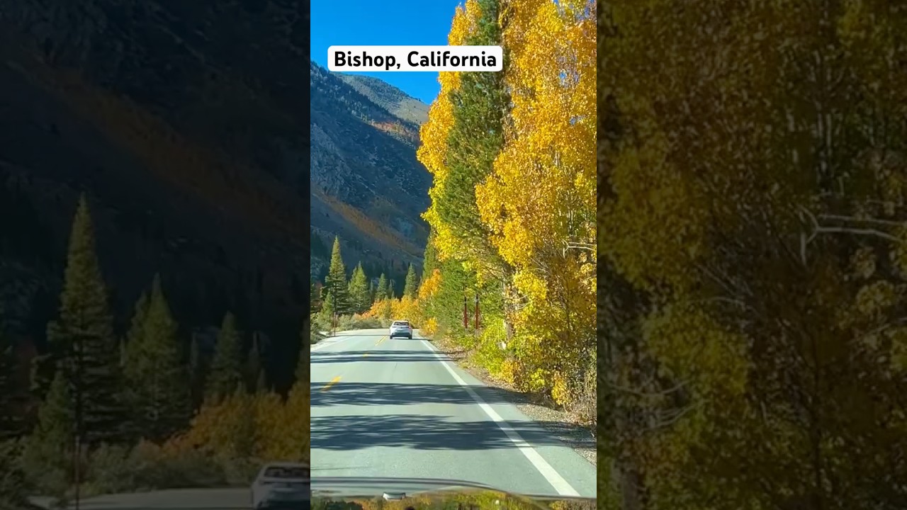 Fall colors in the Eastern Sierra                      