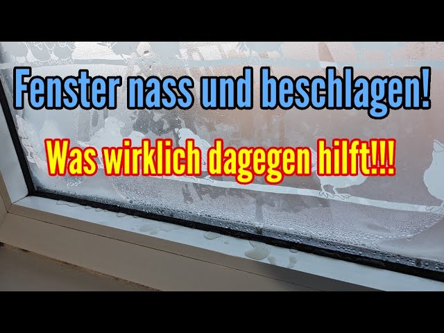 ᐅ Was kann man gegen nasse Fenster machen?