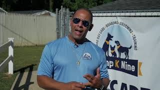 Meet Luis, Owner and Head Trainer at Camp K Nine