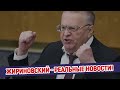 ЖИРИНОВСКИЙ — РЕАЛЬНЫЕ НОВОСТИ