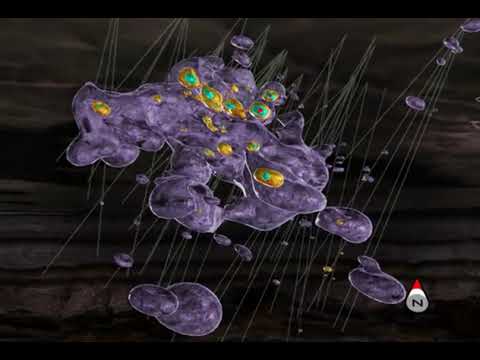 Ore Body Exploration Through 3D Animation