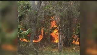 Naples homes threatened by brush fire
