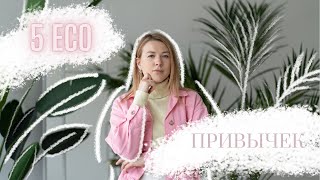 5 эко привычек на начинающих