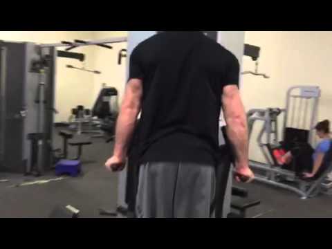 Dip Shrugs