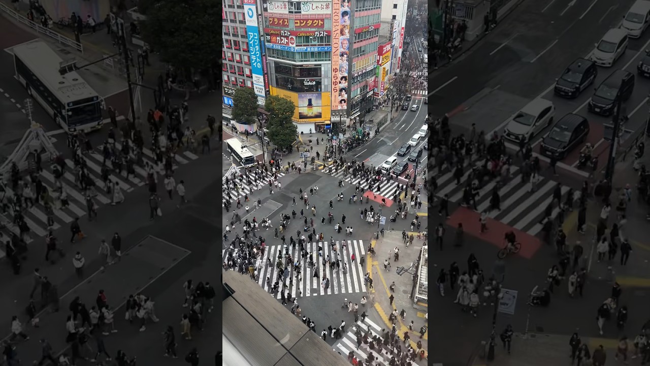 Бар на крыше Magnet с видом на перекресток Сибуя 