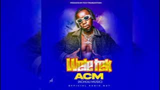 Wele Tek By ACM (ACHOLI MUSIC) official Audio
