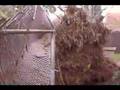 Seattle Windstorm 12 15 06 