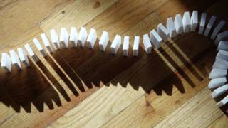 The Domino Effect