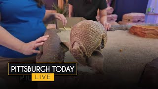 The National Aviary's football connections
