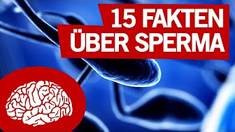 Sein penis ist zu gross