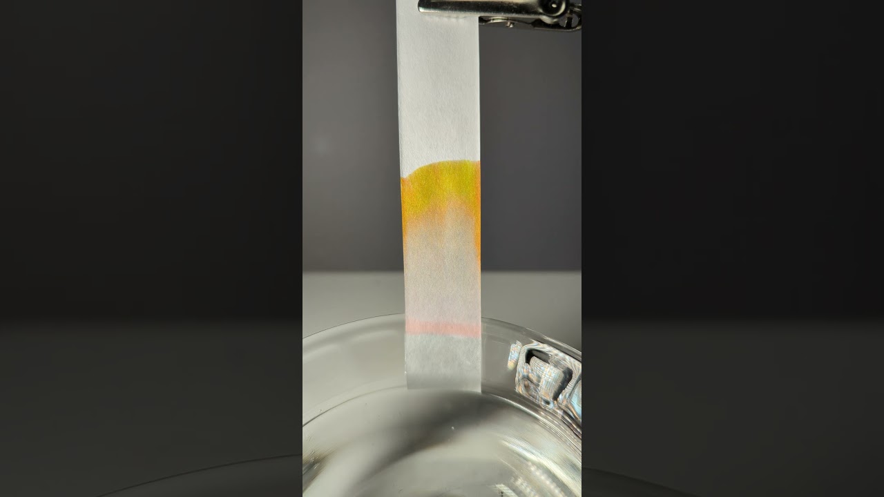 Ink Chromatography Time Lapse | Noodler's Southwest Sunset 