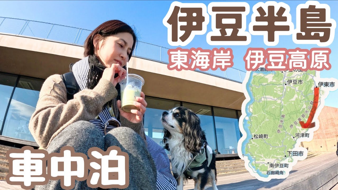 伊豆高原は犬連れ天国！絶景と美食と温泉の東伊豆を旅する50代看護師と犬1匹。伊豆半島一周車中泊の旅、2日目。