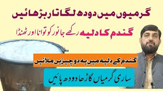 Gaye Bhains Ka گرمیوں Mein Doodh Barhanay Ke Liay گندم کا خاص دلیہ Bananay Ka Tarika