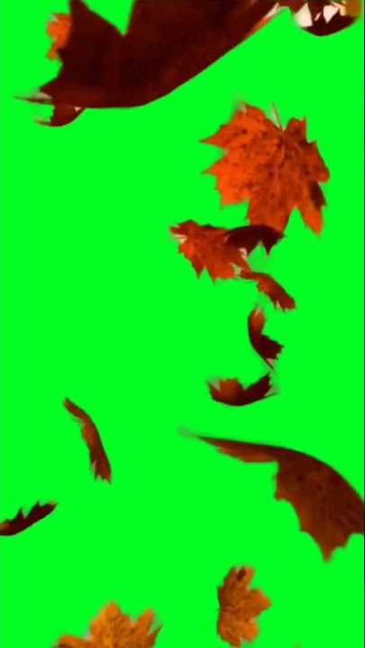 Green Screen Musim gugur #greenscreen #shorts