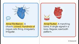 2025 updates to Advanced Cardiovascular Life Support ACLS