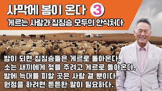 몽골 고비 이야기(09) - 사막에 봄이 온다 ③ - 게르는 사람과 집짐승 모두의 안식처다