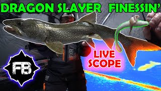 Finessing Finicky Lake Trout Mamas with Meat Tipped Dragon Slayer - on Panoptix Live Scope!