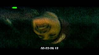 try to find him/elena grey/vlog-winter