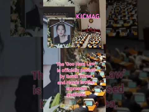 The Goo Hara Law Is Officially Passed By South Korea And Hara S Brother Expresses Gratitude