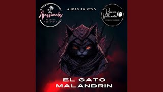 EL GATO MALANDRIN (PASSION VALLENATA EN VIVO) (En vivo)