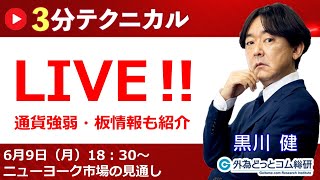 見通しズバリ！3分テクニカル分析「ライブ‼」 NY市場の見通し　2025年6月9日