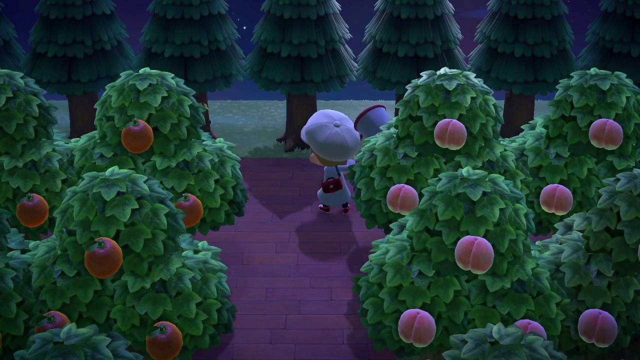 How to find and capture an Atlas Moth in Animal Crossing New Horizons