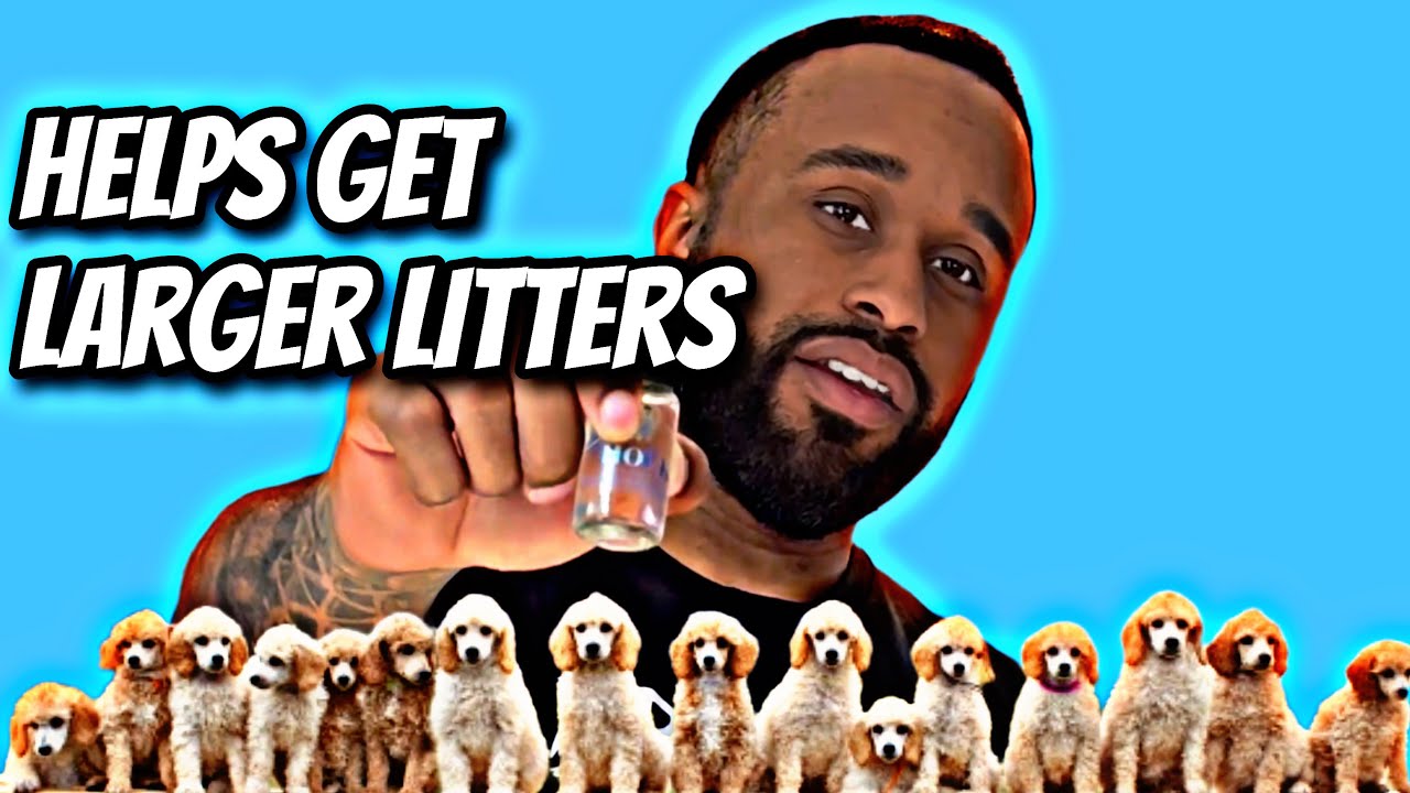 Этот секрет помогает увеличить приплод!￼
