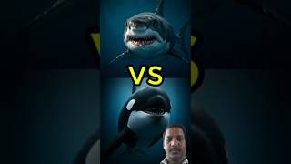 Killer Whale vs Great White Shark, Giant Squid &amp; More | Deep Sea Monster Showdown! 🌊🦈 #fishing