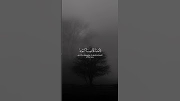 Surah Al-Maidah 106  سورة المائدة #quraniv #quran