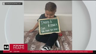 South Florida boy, 3, in desperate need for kidney donor at Nicklaus Children's Hospital