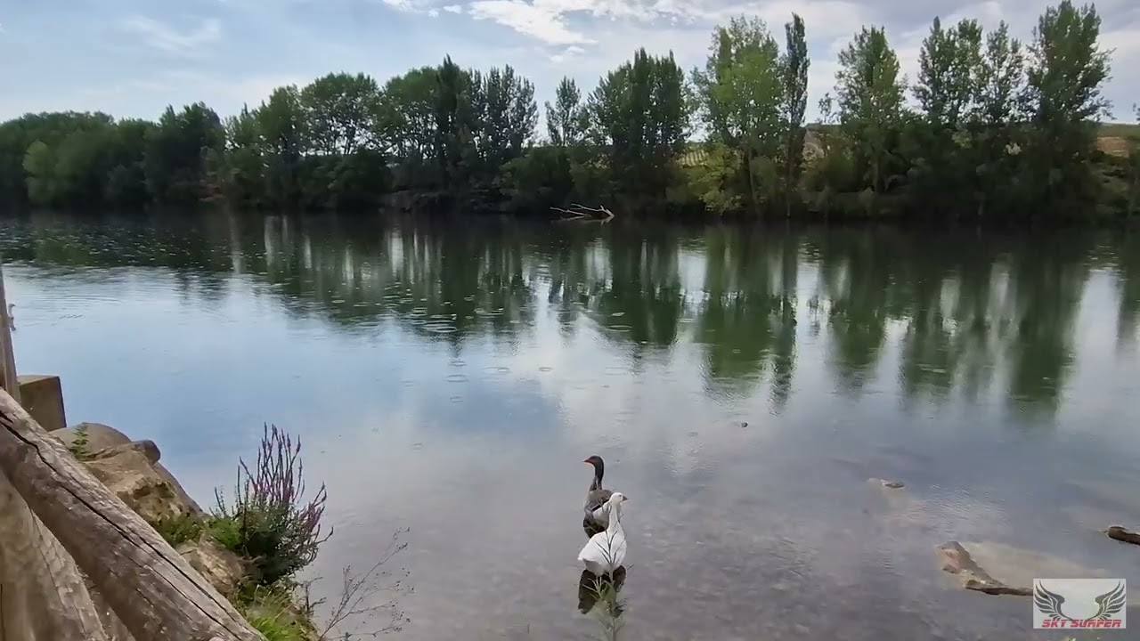 PUEBLOS DE LA RIOJA || BRIÑAS